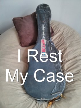 Rest My Case